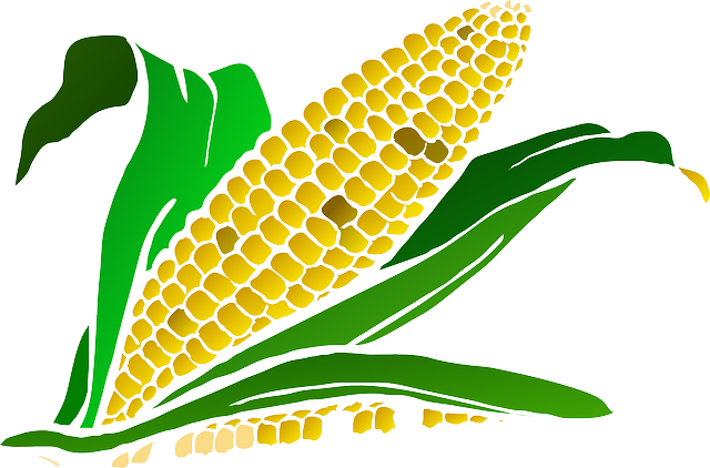 Funny Corn Jokes