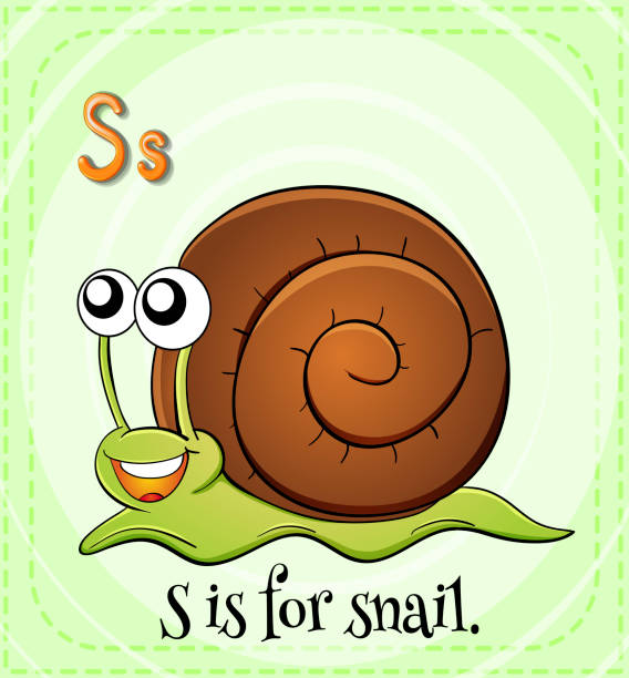 Snail Jokes for Instagram, TikTok, and Social Media