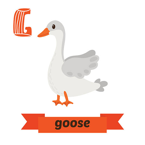 Fun Facts About Geese That Will Make You Laugh Even More