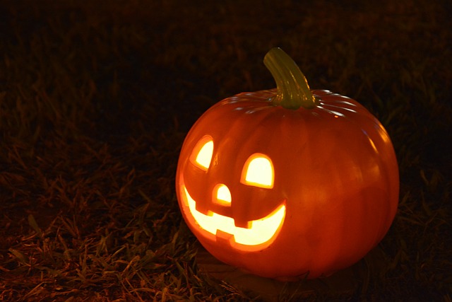 Perfect Pumpkin Patch Captions