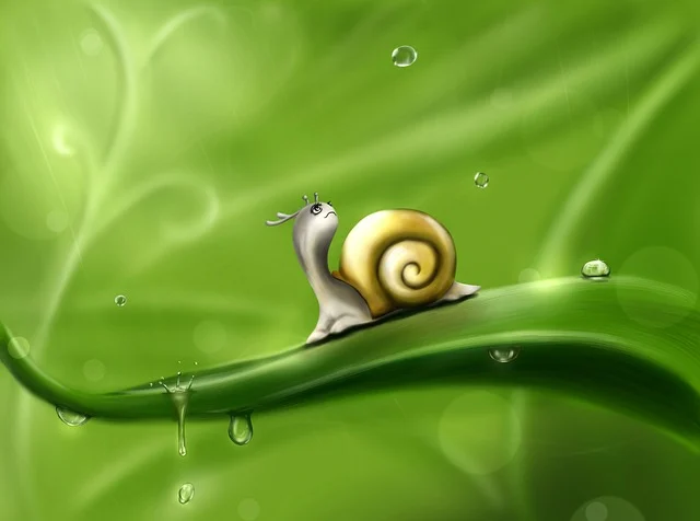 Funny Snail Jokes for Kids