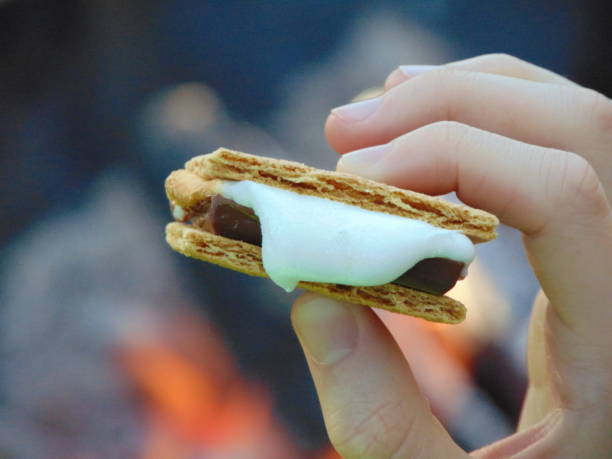 One-Liner S’more Puns for Any Occasion